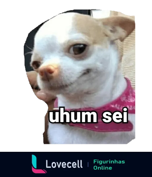 Figurinha de WhatsApp mostrando um Chihuahua cético com bandana rosa e a frase 'uhum sei' em branco indicando sarcasmo