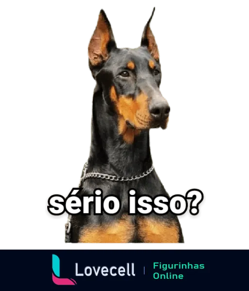 Figurinha de WhatsApp com Doberman imponente e expressão interrogativa, texto 'sério isso?' para expressar dúvida ou espanto